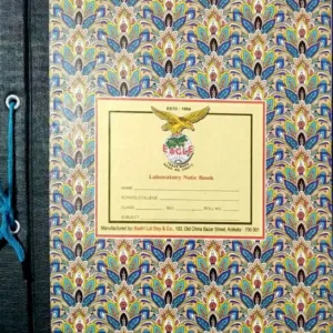 Eagle Practical Board